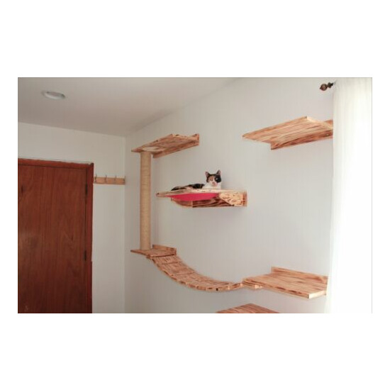 Cat Shelves/ Cat Play/ Relax Center image {1}