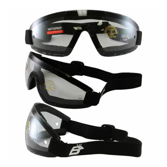12 BIRDZ WING Sky Diving Parasailing MOTORCYCLE GOGGLES CLEAR LENS image {1}