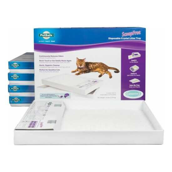 ScoopFree Sensitive Unscented Non-Clumping Crystal Cat Litter - 6 Count image {1}