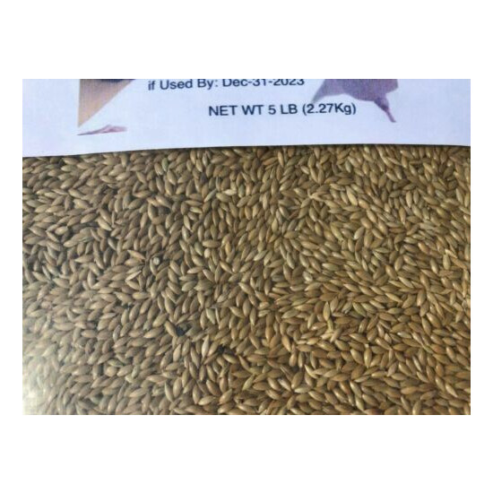 Alpiste Canary Seed 5 Lbs. -Clean and Fresh  image {6}