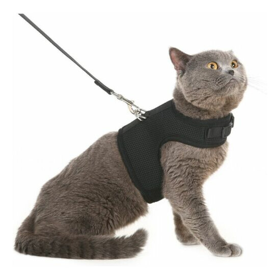 Escape Proof Cat Harness with Leash Holster Adjustable Soft Mesh Best Black M image {1}