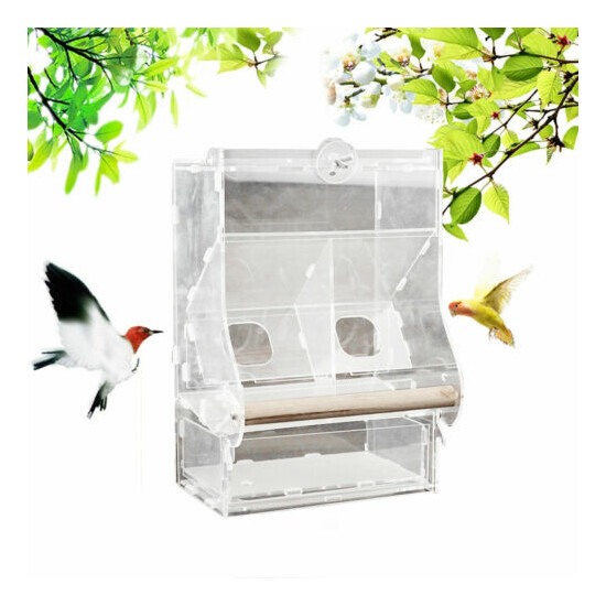 Automatic Pet Parrot Bird Food Feeder Acrylic High/Low Double Hopper Non-slip US image {2}