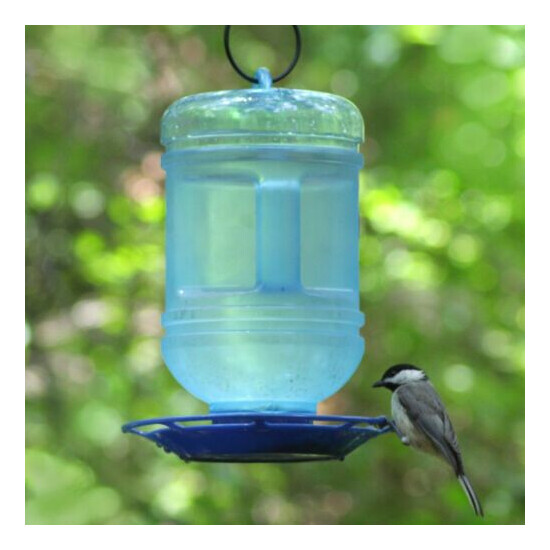 Bird Water Bottle Feeder Wild For Birds Variety Drink Hanging - New image {4}