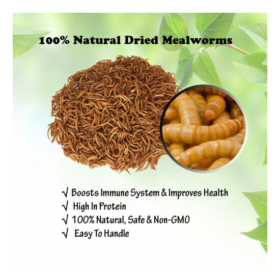 5 LB Dried Mealworms High Protein Bulk Food For Chicken,Bird,Turtle,Fish,Duck image {2}