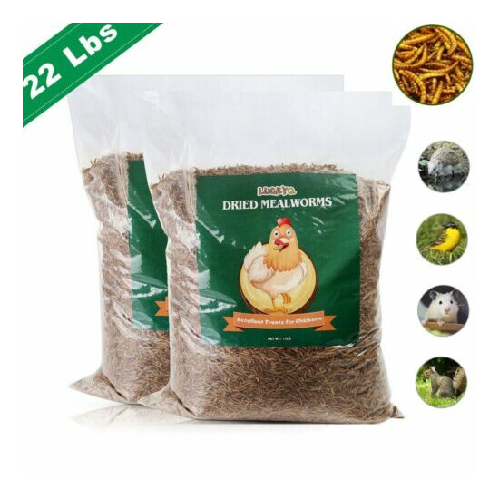 22lbs Bulk Dried Mealworms NON GMO Chicken Hen Treats Duck Organic Feed Birds image {1}
