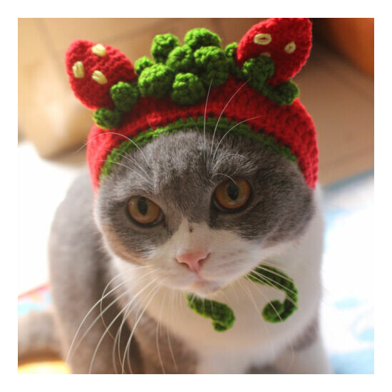Pet Cat Kitty Strawberry pie fruit Woolen Kitten Cap Knitted Cosplay Hat S/M image {2}