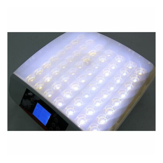 V0 56 Eggs Digital Automatic Incubator LED Turner Poultry Chicken Duck Bird New image {4}