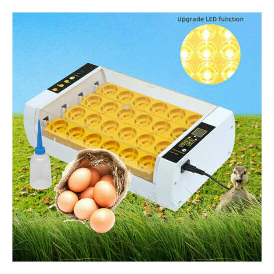 24 Egg Fully Automatic Poultry Incubators LED Light Injector US Plug AC 110V image {1}
