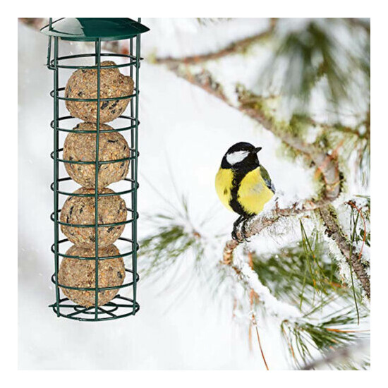 Tube Bird feeders for Hanging Metal Bird Suet Feeder Peanut Bird Feeder Outdoors image {1}