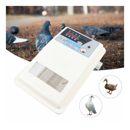 New Automatic 24 Digital Chick Bird Egg Incubator Hatcher Temperature Control image {1}