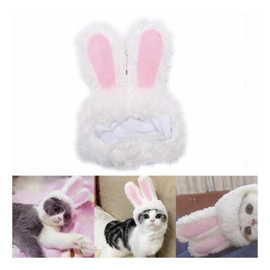 BUnny Rabbit Ears Hat Pet Cat Cosplay Costumes For Cat Small Dogs P M. CA image {1}