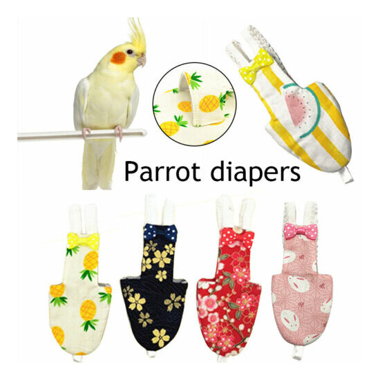 Bird Pet Flying Suits Diapers Cute Fruit Cat Rabbit Printed Nappy Parrot Diapers image {2}