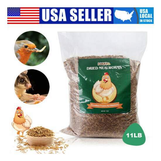 11 LBS Dried Mealworms Bulk High Protein Food Chicken Bird Duck Bluebirds Snack image {1}