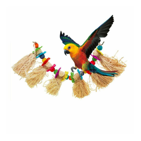 3pcs Colorful String of Beads Parrot Gnawing Toys Bird Toy Chewing Bite image {4}