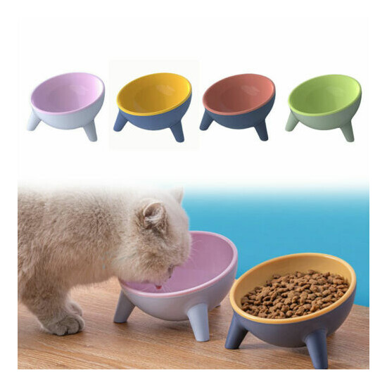 Raised Tilted Elevated Bowl Pet Cat Bowl Food Water Dish Backflow Prevention US image {1}