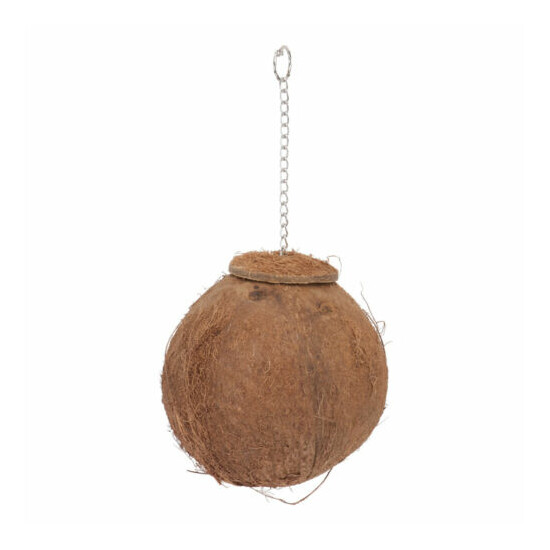 1PC Coconut Shell Birds Nest Pet Parrot Biting Plaything for Birds Parrot image {4}