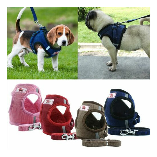 Breathable Small Dog Cat Pet Mesh harness Vest Collar Chest Strap Leash XS-XL image {3}