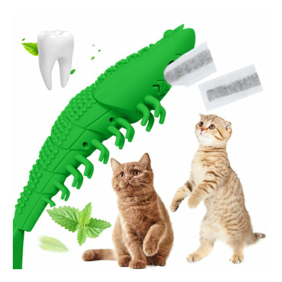 Cat Toothbrush Catnip Pet Toy Cleaning Teeth Care Tool Small Shrimp Shape USA image {1}