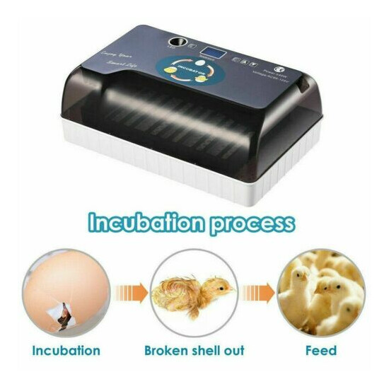 Fully Automatic Egg Incubator Auto Turning Small Digital Poultry Hatcher Machine image {4}