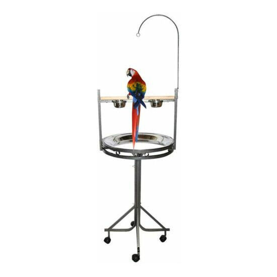Mcage Large Wrought Iron Parrot Play Gym Ground Stand with Wood Perch Stainless  image {1}