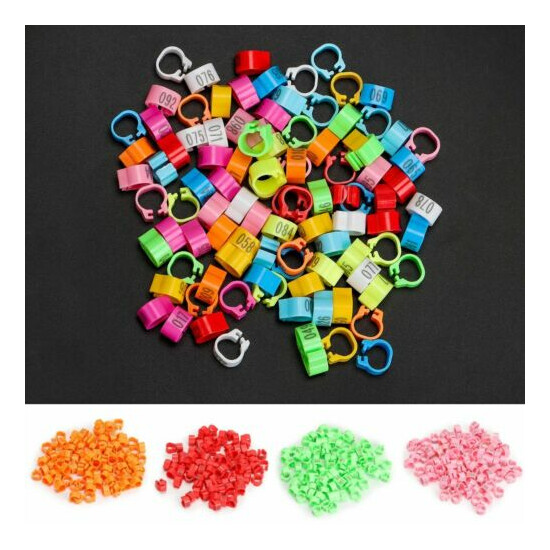 100Pcs Leg Bands Plastic Chicken Pheasant Poultry Duck Bird Leg Rings ID Tags US image {1}