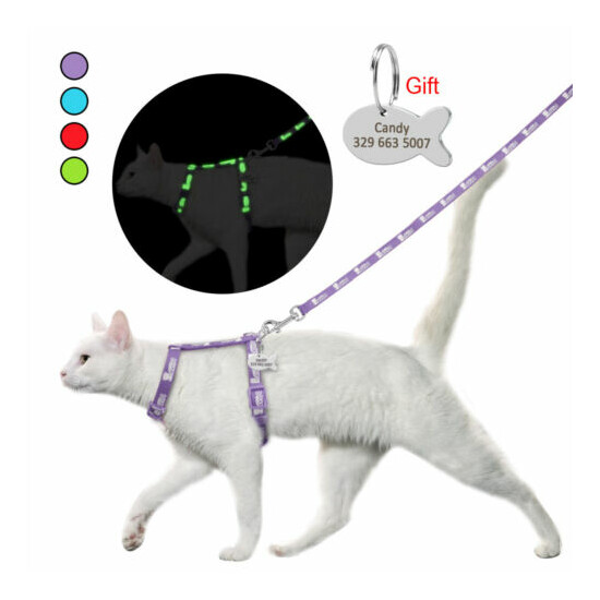 Reflective Cat Harness&Leash&Personalized ID Tag Escape Proof Small Puppy Vest  image {1}