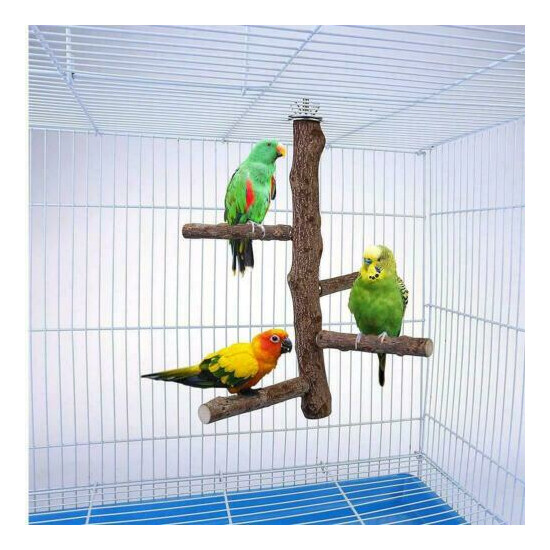 Wooden Parrot Budgie Bird Cage Perches Tree Branch Toys Grinding Hanging .FAST image {2}