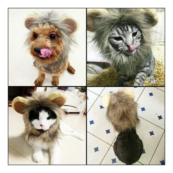 Furry Lion Hair Mane Dog / Cat Hat W/ Ears Cute Costume Headwear Pet Accessory image {3}