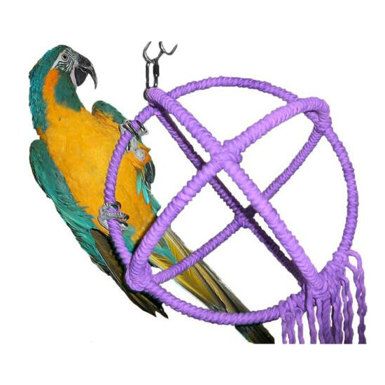 Large Purple Parrot Orbit Swing Toys Perches image {1}