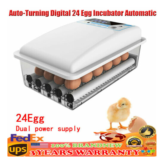 24Eggs Digital Incubator Chicken Duck Quail Hatcher LCD Display Auto Turning New image {2}