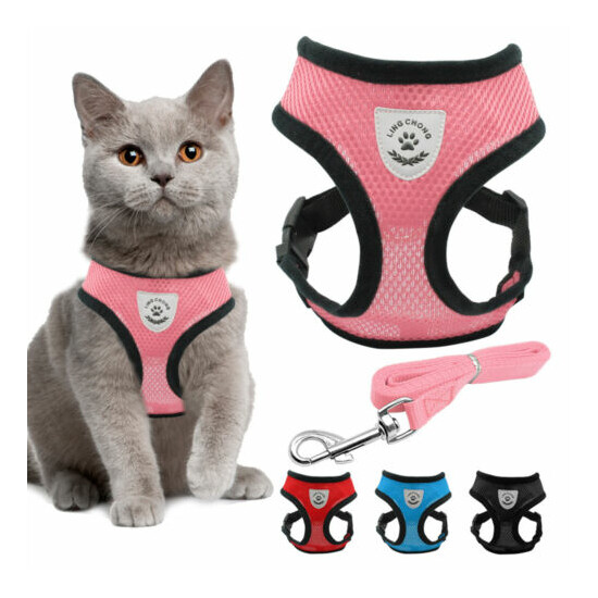 Cat Jacket Harness and Leash for Walking Escape Proof Dog Adjustable Mesh Vest image {1}