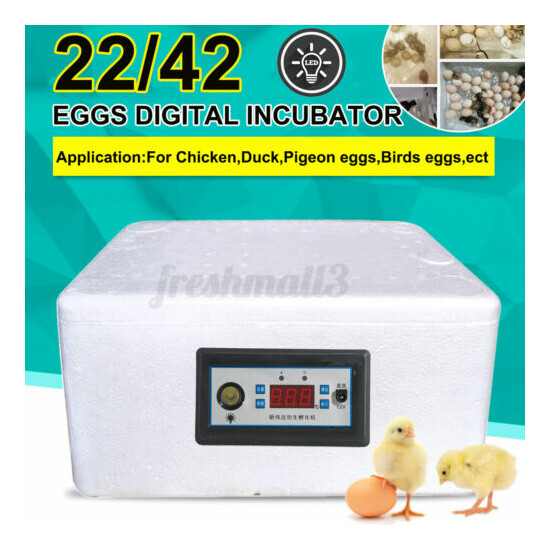 22/42 Eggs Incubator Fully Automatic Digital LED Turning Chicken Duck i +~ image {1}