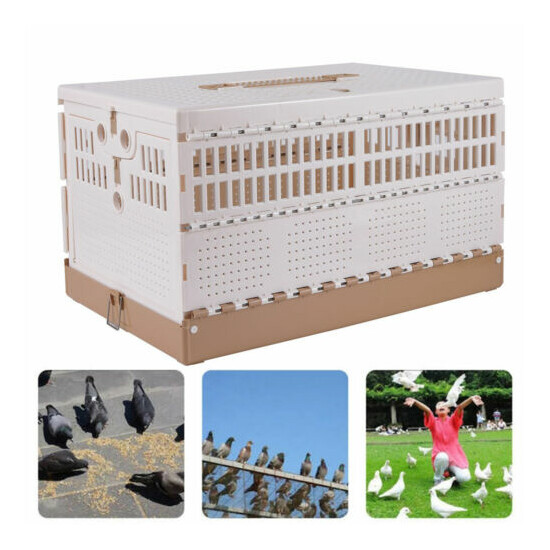 Folding Plastic Bird Cage Pigeon Carrier Box 2 Side Doors Poultry Pet Cage USA  image {2}