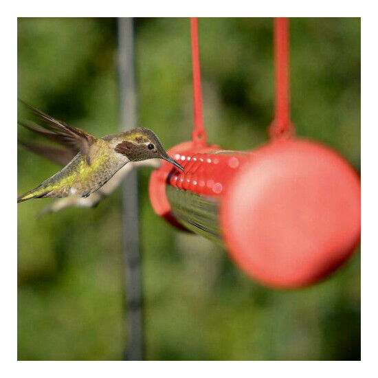 40cm Easy to Use Hummingbird Feeder w/ Hole Birds Feeding Pipe Outdoor Portable image {3}