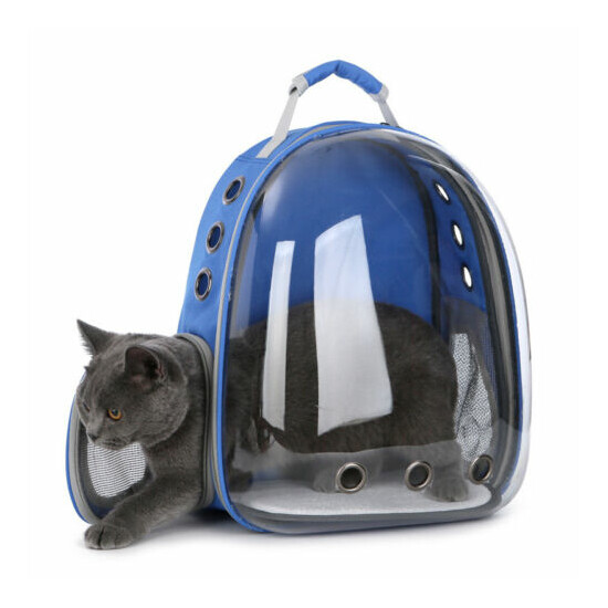 Cat Kitten Carrier Transparent Space Capsule Pet Carrier Puppy Dog Backpack image {2}