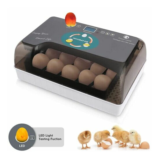 Fully Automatic Egg Incubator Auto Turning Small Digital Poultry Hatcher Machine image {1}