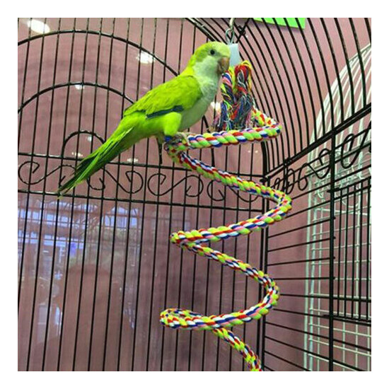 New Parrot Rope Hanging Braided Chew Rope Bird Cockatiel Toy Pet Traini.fa image {1}