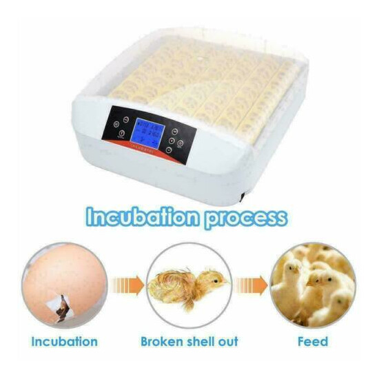15/24/42 Egg Incubator Fully Automatic Digital Incubator Temperature Control USA image {7}