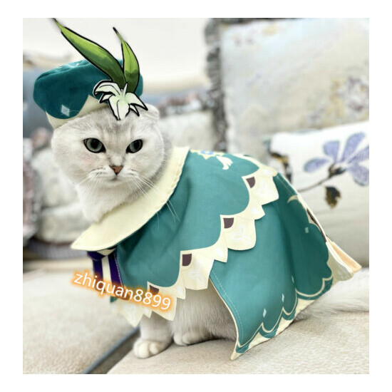 Game Genshin Impact Venti Little Cat Clothes Cloak Coat Hat Pet Cosplay Uniform image {4}
