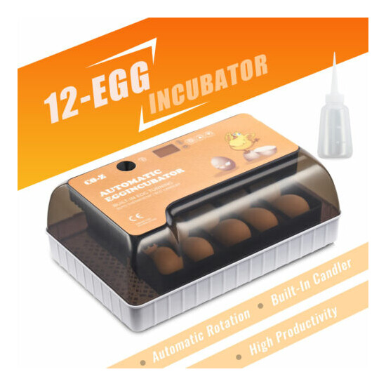 Classroom & Home Egg Hatching Incubator with Automatic Turning Digital Controls image {1}