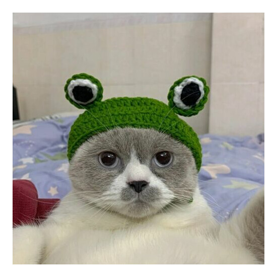 Cute Pet cat Kitten frog prince Hat Tiara Knit Headgear Decorative Xmas Decor image {4}
