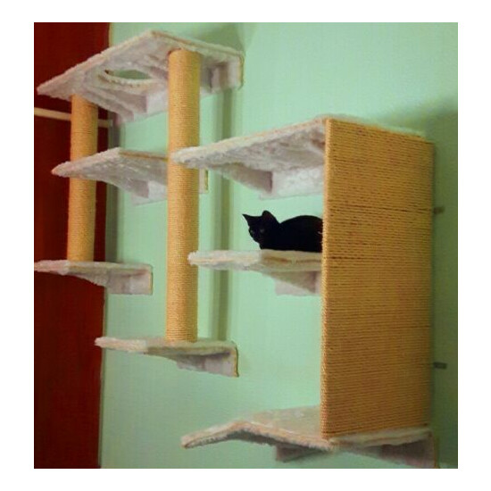 cat wall shelves designed for Maine coons image {1}