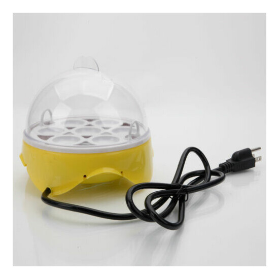 Mini 7 Egg Incubator Hatcher Digital Clear Temperature Control Duck Bird 110V US image {2}