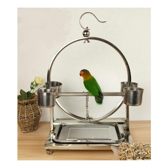 Stainless Steel Parrot Bird Stand Rack Circle Perch Play Activity Toy Hook image {2}
