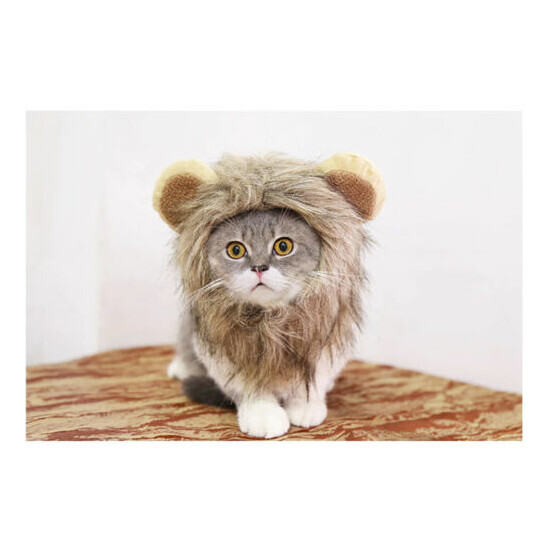 Cute Lion Mane Cat Wig Pet Small Dog Cats Costume Lion Mane Wig Cap Hat for Cat  image {4}