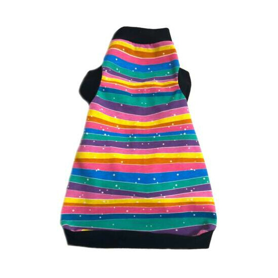 Sphynx Cat Shirt Rainbow Stripes - Clothes Clothing Coat Vest Jumper Devon Rex image {2}
