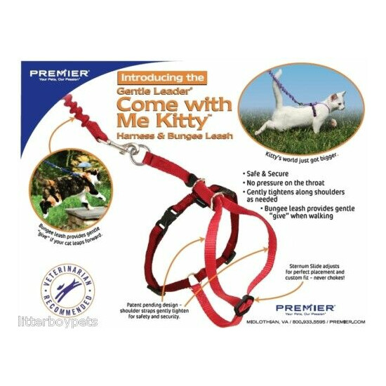 Come with Me kitty Cat Harness with leash - Choose Size / Color image {1}