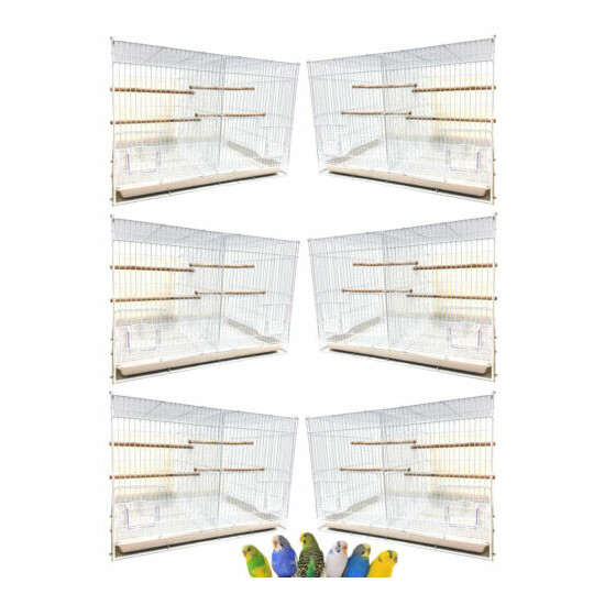 Case of 6 Aviary Canary Breeding Flight Bird With Center Divider Cages 24x16x16H image {1}