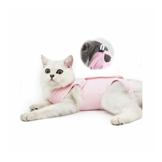Cat Professional Recovery Suit for Abdominal Wounds and Skin Diseases,E-Colla... image {1}