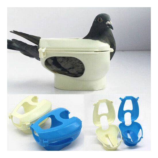 1Pc Racing Pigeon Holder For Injection Feeding Vaccination Mount Bird SuppliY-dr image {1}